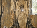 Desert Dream granite shower